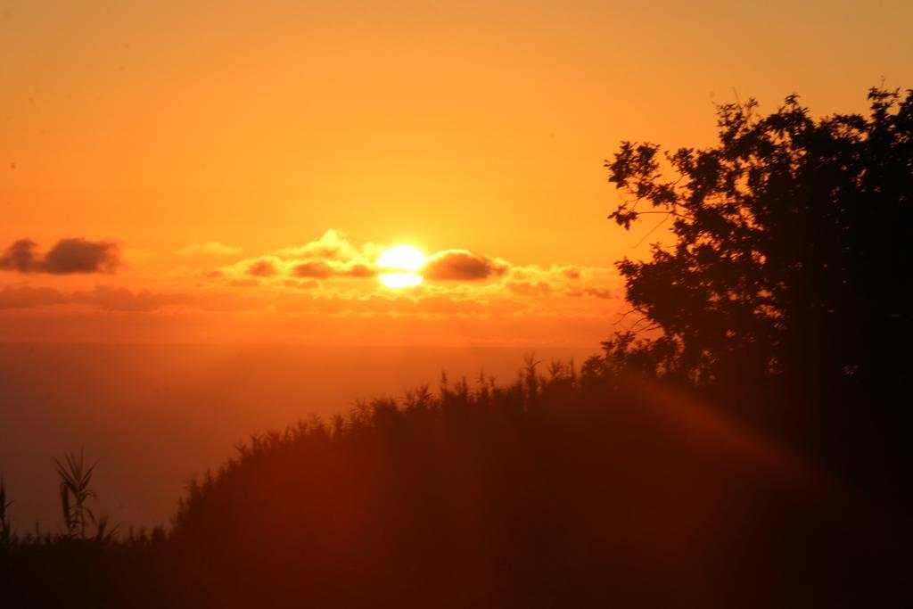 Madeira Native Motion Guest House Fajã da Ovelha Pokoj fotografie